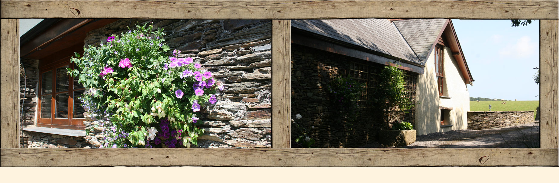 Flowers on exterior of our Totnes B&B