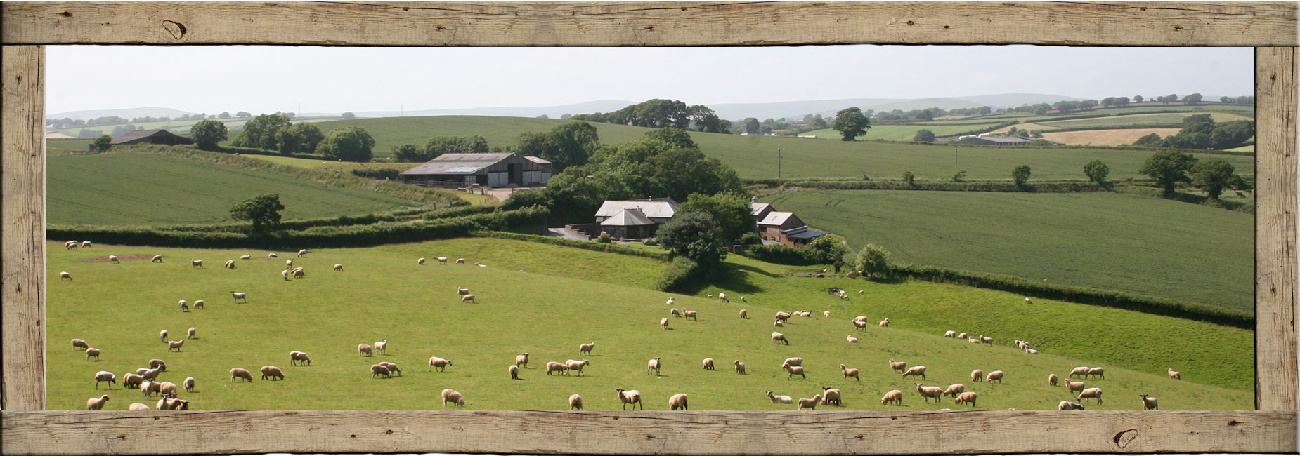 Foales Leigh Farm with Dartmoor in the distance